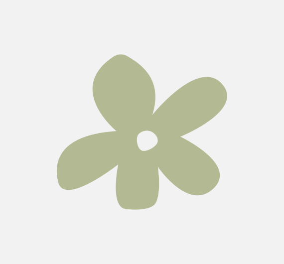 https://natividadesilva.pt/wp-content/uploads/2025/12/Flor_natividade_verde.png