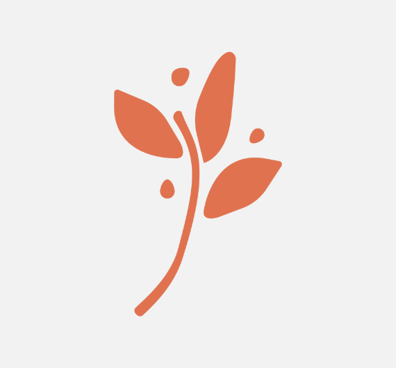 https://natividadesilva.pt/wp-content/uploads/2025/12/Planta_Natividade_Laranja.png